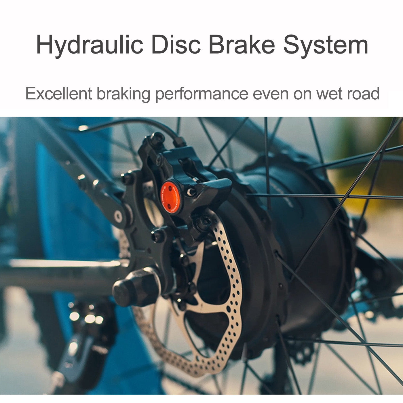 Lankeleisi T750plus 1000W 5-Grade Pedal Assist Power System Electric Fat Tire Bike, 26*4.0 Ruota pneumatica della neve, entrambi freno a disco, batteria rimovibile di grande capacità, 27 velocità