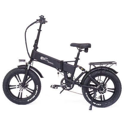 RX20 750W Folding Electric Bicycle 20*4.0 Fat Tire Mountain Bike 48V E-cykel full suspension