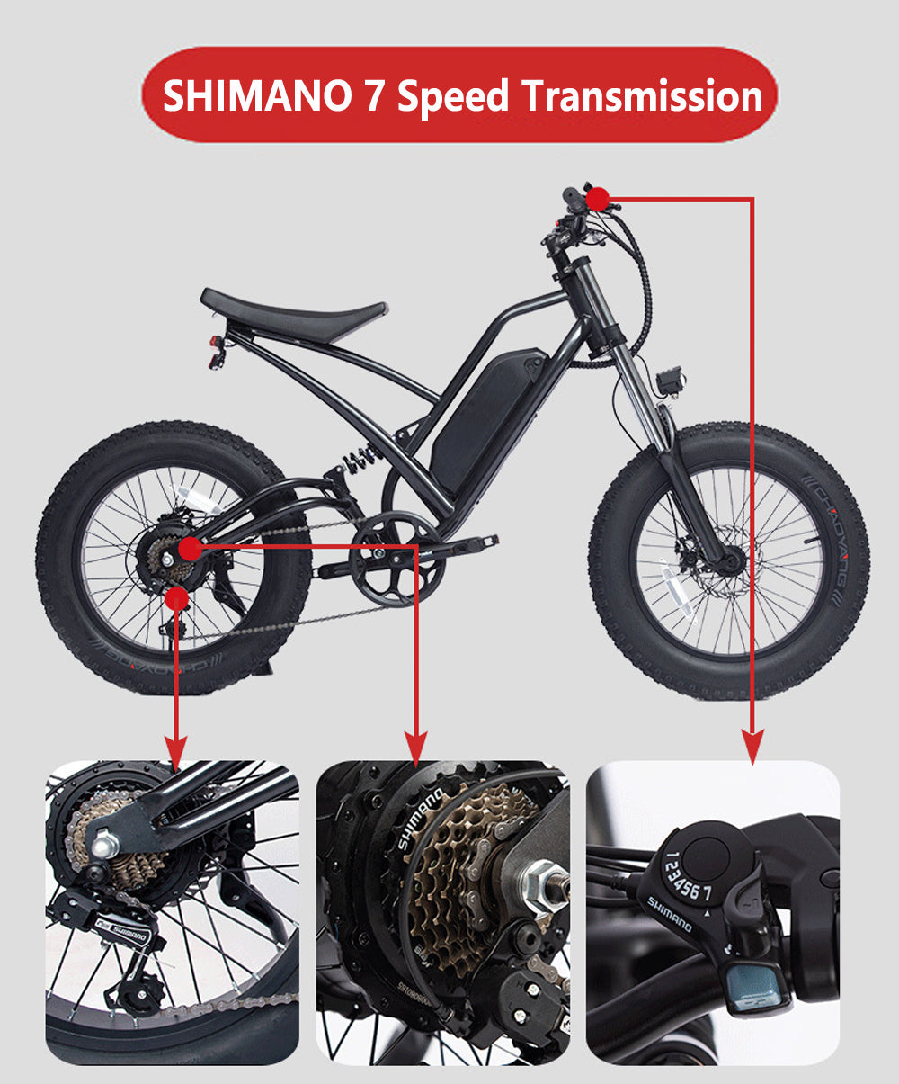 Bici elettrica del pneumatico del grasso di grande capacità 48V 22.5Ah 20x4.0 Bici da neve con ammortizzatore anteriore e posteriore, entrambi disc Brake E Bike