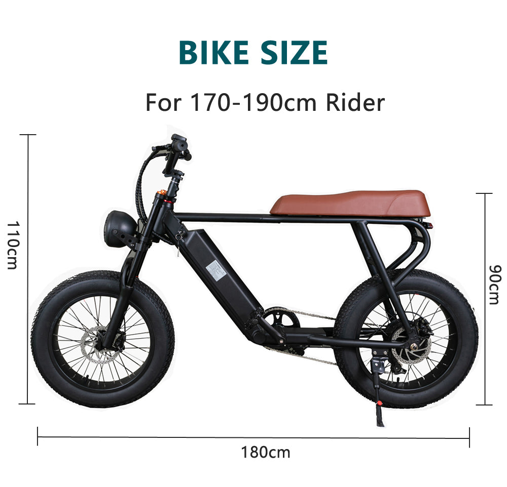 20FG Adult Mountain Bike 20 Inch 500W Electric Bike 48V 15Ah Lithium Battery Air Suspension Front Fork Speed up to 45km/h