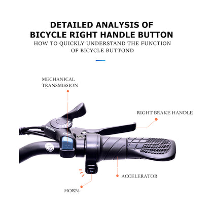 GW20 750W 20 pollici bici elettrica pieghevole, 4.0 pneumatico grasso, batteria al litio potente 48V, bici da neve, bicicletta di aiuto di potere